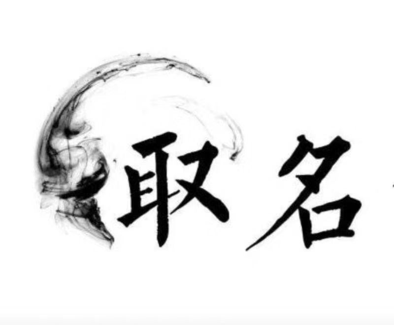  平顶山宝宝取名 大师一对一人工起名